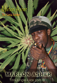 Marlon Asher - The Ganja Farmer