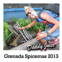Grenada Spicemas 2013