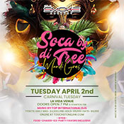 Soca by di Tree 2024