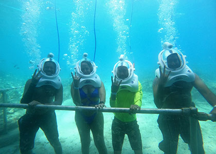 Sea Trek at Coral World