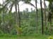 bali2004-124