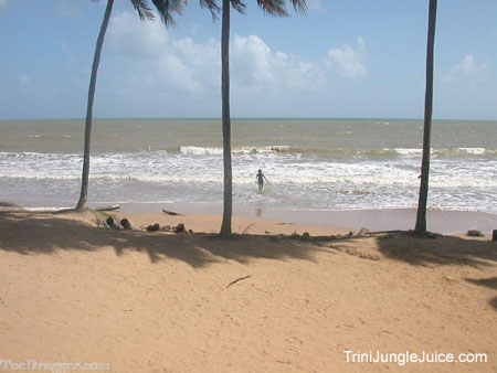 trinijan04beach-12