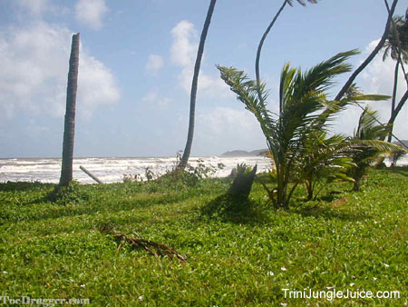 trinijan04beach-15