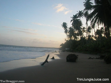 trinijan04beach-18