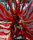 caribana_parade_pt2-041