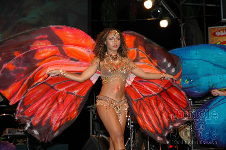 islandpeople_2k6_launch-067