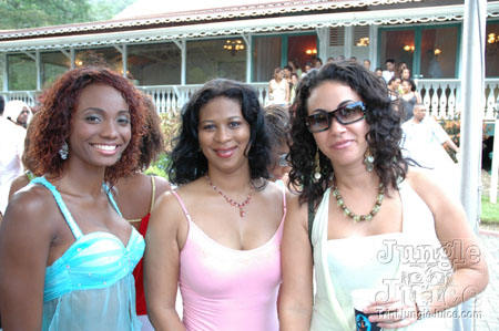 beach_house_carnival_2006-009