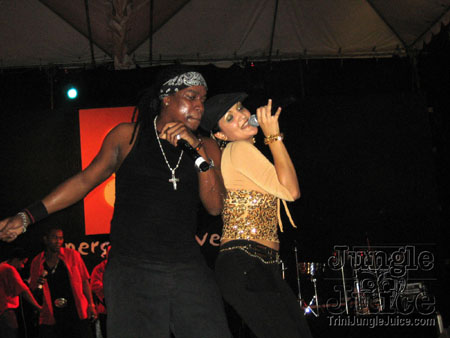 bg_energy_inclusive-031