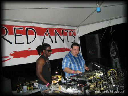 redants_blue_range-08