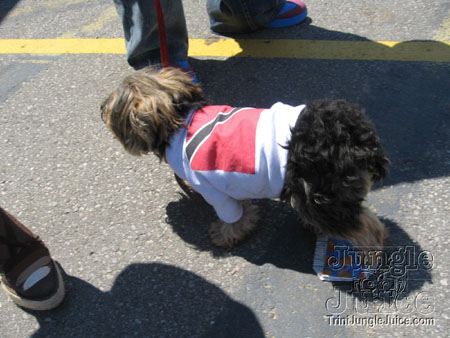 caribana_parade_pt1-165