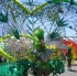 caribana_parade_pt2-061