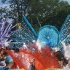 caribana_parade_pt2-088