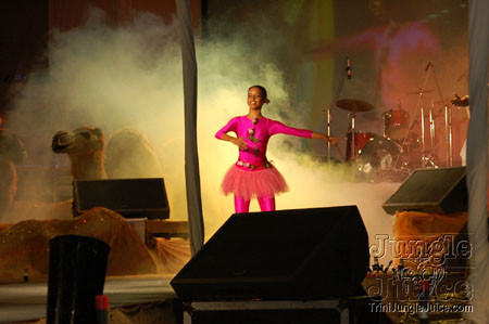 ipmas_2k7_launch-025