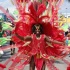 miami_carnival_2006_pt1-060