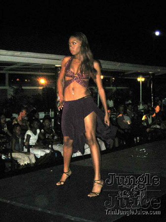 model_facts_launch-10