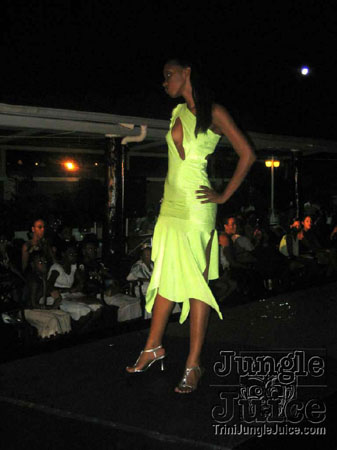 model_facts_launch-15