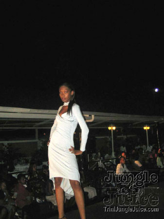 model_facts_launch-20