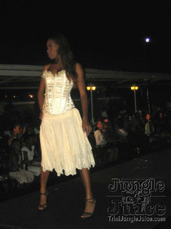 model_facts_launch-21