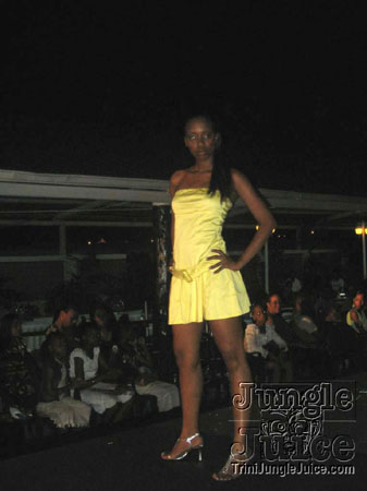 model_facts_launch-22