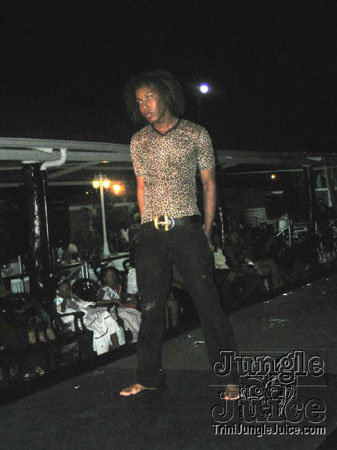 model_facts_launch-31