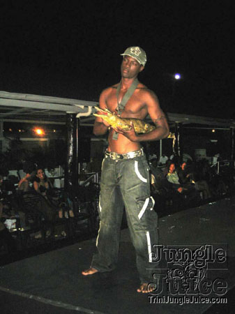 model_facts_launch-34