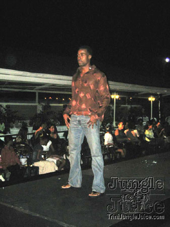 model_facts_launch-41