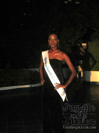 model_facts_launch-53