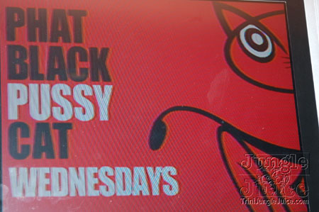 phat_black_pussy_cat_9aug-01