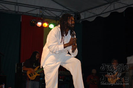 reggae_all_stars-61