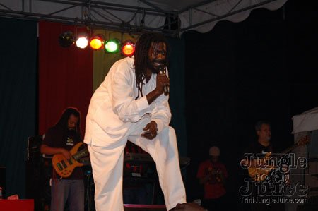 reggae_all_stars-62