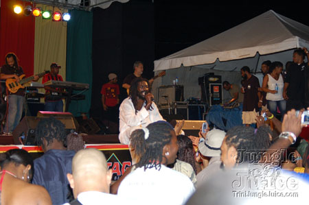 reggae_all_stars-67