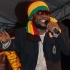 reggae_all_stars-17