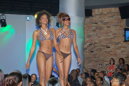 synergy_supermodel_2006-062