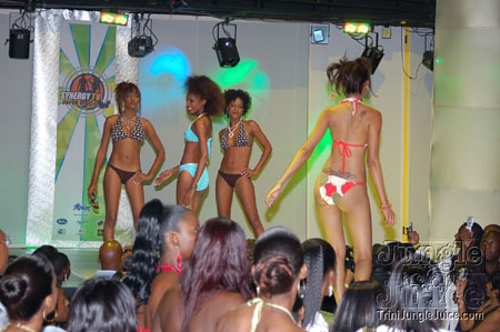 synergy_supermodel_2006-069