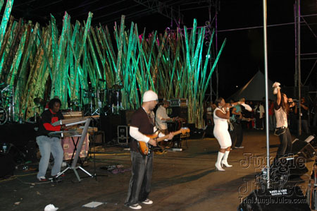 alternative_concept_5-012