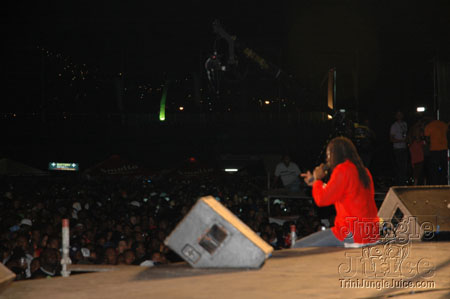 alternative_concept_5-051