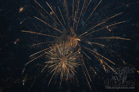 bacchanal_wed_2007-097