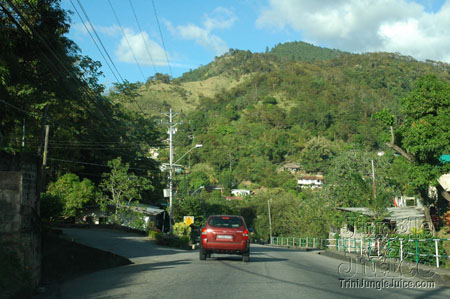 beach_house_carnival_2007-001