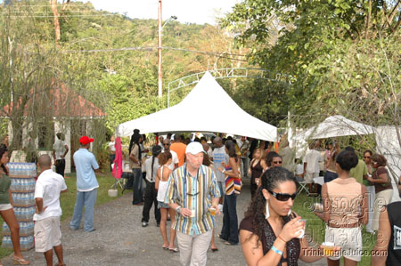 beach_house_carnival_2007-011