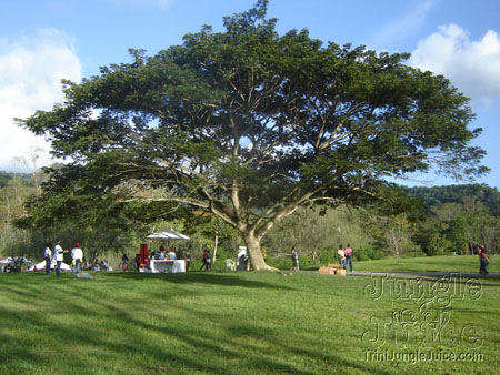 beach_house_carnival_2007-012