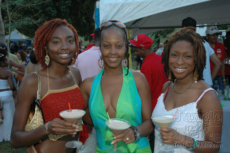 beach_house_carnival_2007-045