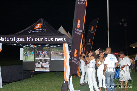 bg_tt_energy_incl_2007-022