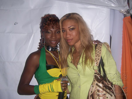 bg_tt_energy_incl_2007-046