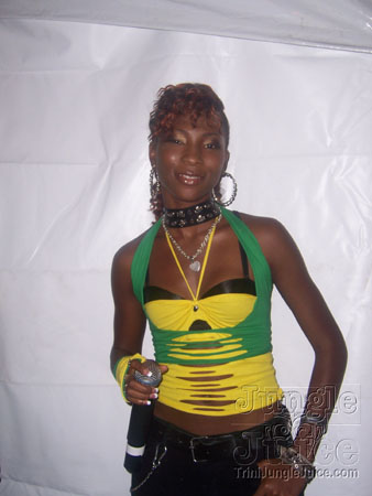 bg_tt_energy_incl_2007-072