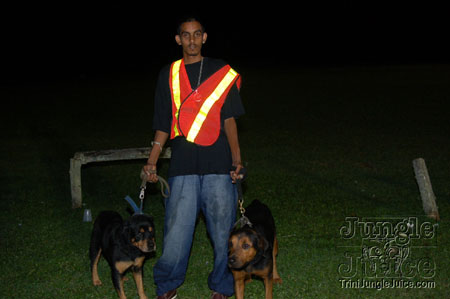 bg_tt_energy_incl_2007-151