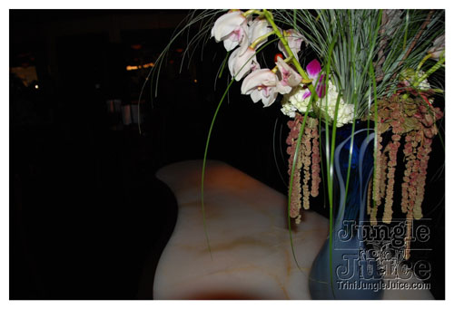 blue_martini_oct07-002