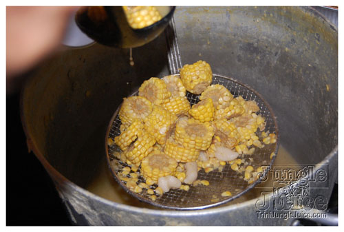 broward_carnival_2007_pt2-181