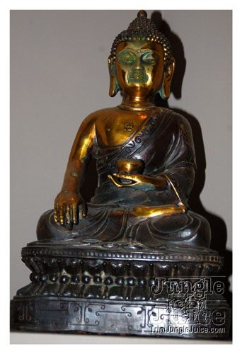 collie_buddz_zen_nov07-006