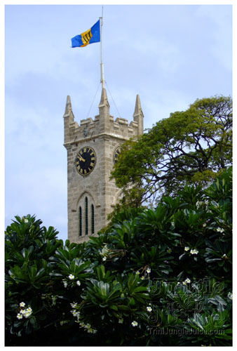 crop_over_2k7_extras_pt1-22