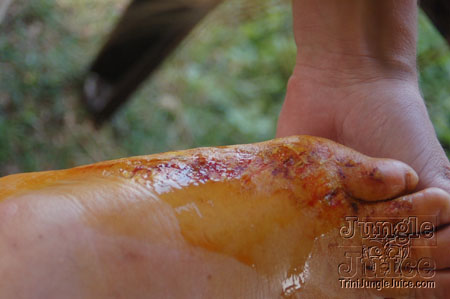 csn_san_souci_mar07-088